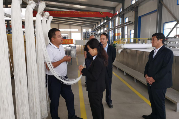陕西航天建设集团有限公司总经理、党委副书记谢明娟率队赴辽宁EVO视讯环保产业集团开展考察调研工作